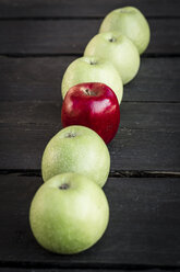 Roter Apfel in einer Reihe von grünen Äpfeln auf dunklem Grund - SARF000398