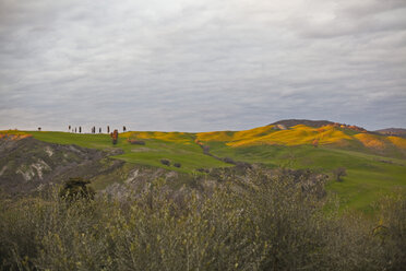 Italy, Tuscany, Volterra, rolling landscape - KVF000063