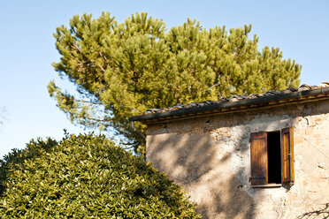 Italien, Toskana, Volterra, Fenster an einem Gebäude und Baum - KVF000073