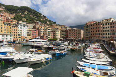 Italien, Ligurien, Hafen und Stadt Camogli - AMF002042