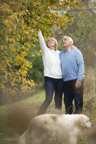 Porträt eines älteren Paares beim Spaziergang mit Hund, lizenzfreies Stockfoto