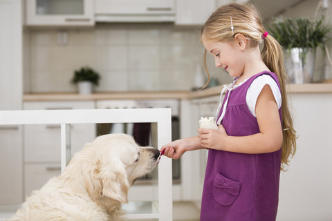 Kleines Mädchen füttert Hund mit Joghurt, lizenzfreies Stockfoto