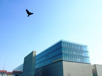 Staatliches Museum für Ägyptische Kunst, München, Bayern, Deutschland - RIMF000206