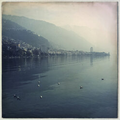 Blick auf Montreux am Genfersee, Waadt, Schweiz - MSF003530