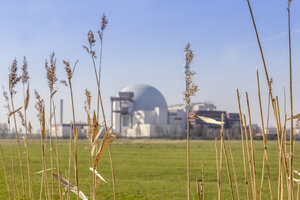 Deutschland, Schleswig-Holstein, Brokdorf, Gräser und Kernkraftwerk im Hintergrund - NKF000074
