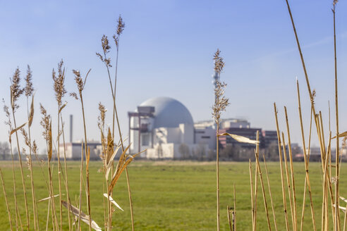 Germany, Schleswig-Holstein, Brokdorf, grasses and nuclear power plant in the background - NKF000074