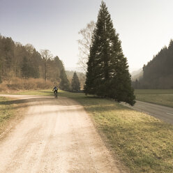 Mountainbikerin, Hochschwarzwald, Baden Württemberg, Deutschland - DRF000600