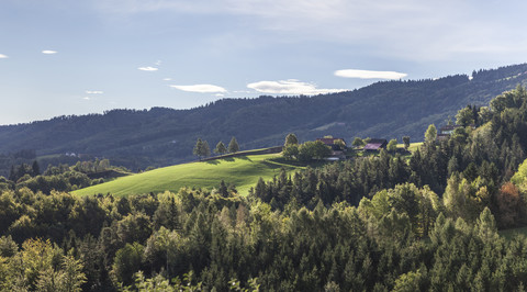 Österreich, Südsteiermark, Landschaft am frühen Morgen, lizenzfreies Stockfoto