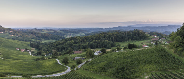 Blick von der österreichischen Grenze auf die slowenischen Weinberge - ATAF000040