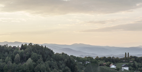 Österreich, Südsteiermark, Landschaft am Abend, lizenzfreies Stockfoto