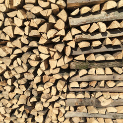 Woodpile, webs, Breisgau in the Black Forest, Germany - DRF000596