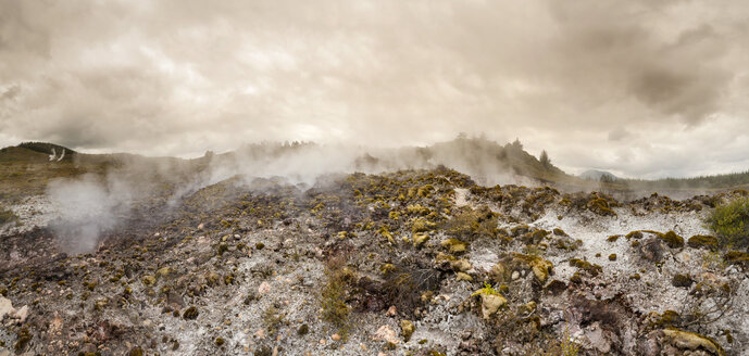 Neuseeland, Taupo Volcanic Zone, Craters of the Moon, geothermisches Feld - WV000518