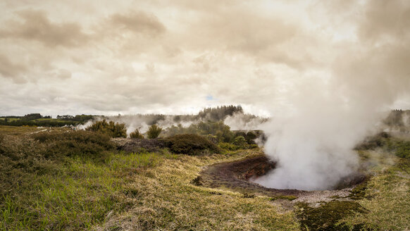 Neuseeland, Taupo Volcanic Zone, Craters of the Moon, geothermisches Feld - WV000519