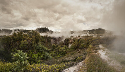 Neuseeland, Taupo Volcanic Zone, Craters of the Moon, geothermisches Feld - WV000520