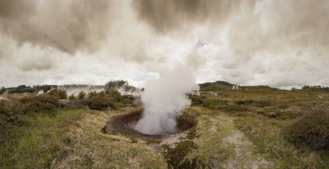 Neuseeland, Taupo Volcanic Zone, Craters of the Moon, geothermisches Feld - WV000521
