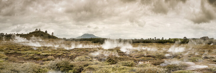 Neuseeland, Taupo Volcanic Zone, Craters of the Moon, geothermisches Feld - WV000522