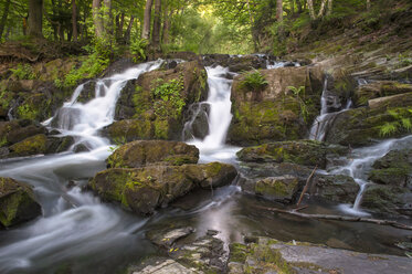 Deutschland, Sachsen-Anhalt, Nationalpark Harz im Herbst - RJF000066