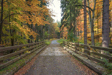 Deutschland, Sachsen-Anhalt, Nationalpark Harz im Herbst - RJF000056