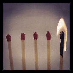 burning matchstick among his peers, Individuality - HOHF000606