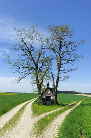 Deutschland, Oberbayern, Bildstockkapelle in Tyrlaching, Flurstraße, lizenzfreies Stockfoto