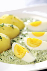 Plate of Frankfurt green sauce with boiled potatoes and egg, close-up - IPF000091