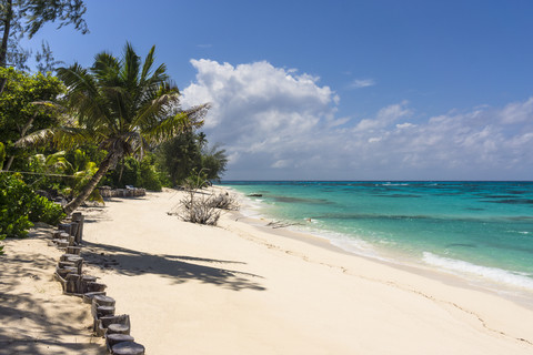 Seychellen, Nördliche Korallengruppe, Denis Island, Privatstrand, lizenzfreies Stockfoto