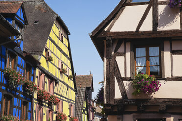 France, Alsace, Haut-Rhin, Riquewhir, historical town center with typical half-timbered houses - GW002714