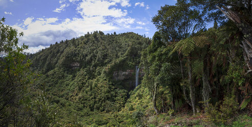 Neuseeland, Whakapapa-Gebiet, Tupapakurua-Wasserfälle, Regenwald - WV000550