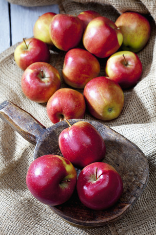 Braeburn-Äpfel auf Holzschaufel, Jute und grauer Holztisch, erhöhte Ansicht, lizenzfreies Stockfoto