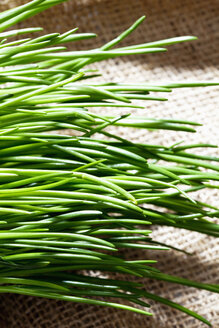 Schnittlauch (Allium schoenoprasum) auf Jute, Nahaufnahme - CSF021111