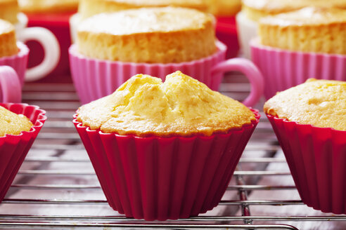 Backformen in Form von Tassen mit gebackenen Cupcakes auf einem Abkühlgitter - CSF021122