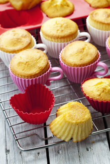 Backformen in Form von Tassen mit gebackenen Cupcakes auf einem Abkühlgitter - CSF021123