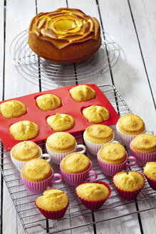Gebackene Cupcakes, Muffins und ein Geburtstagskuchen auf Kühlgittern - CSF021133