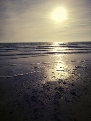 Holland, Niederlande, Westenschouwen, Strand, Sonnenuntergang - MYF000278