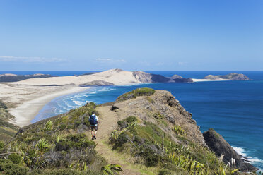 Neuseeland, Northland, Cape Reinga Gebiet, Mann wandert Cape Maria van Diemen Trail - GW002689