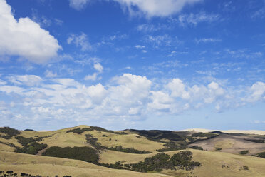 Neuseeland, Northland, Cape Reinga Gebiet, Farmland, Te Paki Sanddüne im Hintergrund rechts - GW002681