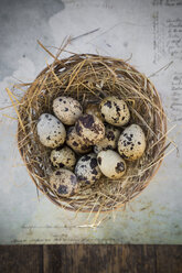 Nest mit Wachteleiern auf Papier mit Handschrift, Ansicht von oben - LVF000961