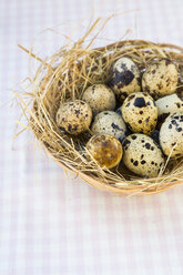 Nest mit Wachteleiern auf kariertem Tuch - LVF000963