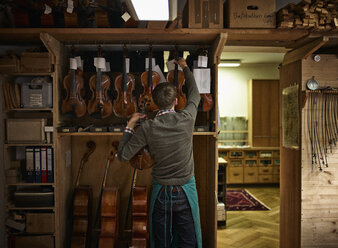 Geigenbauer in seiner Werkstatt mit restaurierten Geigen - DIKF000087