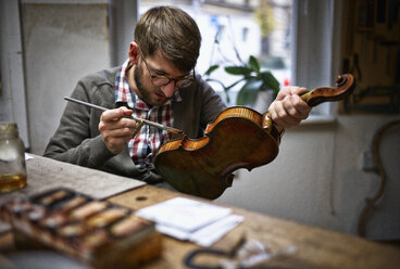 Violin maker in his workshop varnishing repaired violin - DIKF000082