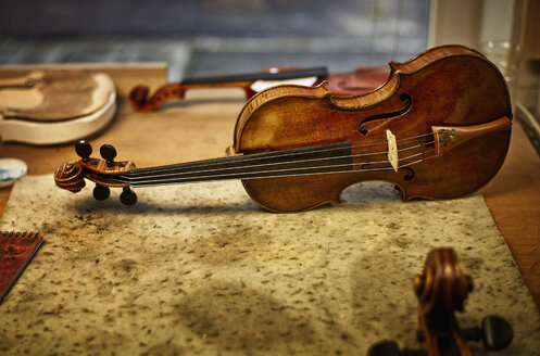 Reparierte Instrumente in der Werkstatt eines Geigenbauers - DIKF000104