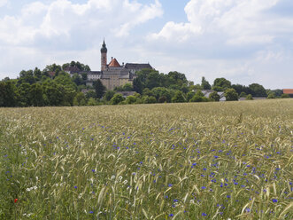 Deutschland, Bayern, Oberbayern, Getreidefeld mit Kornblumen, Kloster Andechs - SIEF005237