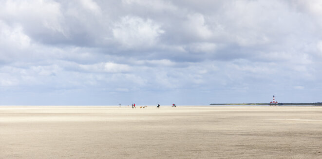 Deutschland, Schleswig-Holstein, St. Peter-Ording, Wattenmeer - ATAF000044