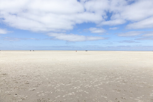 Deutschland, Schleswig-Holstein, St. Peter-Ording, Wattenmeer - ATAF000045