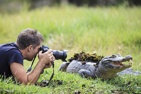 Südamerika, Brasilia, Mato Grosso do Sul, Pantanal, Fotograf und ein Yacare-Kaiman, Caiman yacare, lizenzfreies Stockfoto