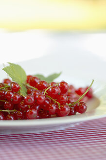 Rote Johannisbeeren auf dem Gartentisch - ASF005322