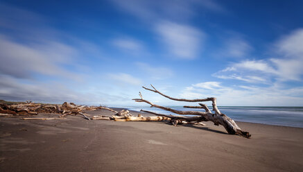 Neuseeland, Wanganui Strand - WV000563