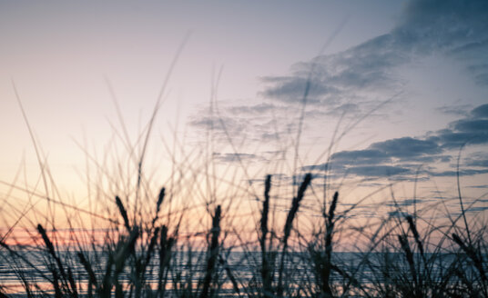 Neuseeland, Sonnenuntergang am Strand von Foxton - WV000568