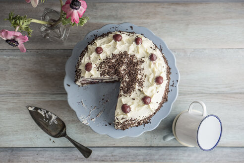 Schwarzwälder Kirschtorte auf blauem Tortenständer und grauem Hintergrund, Ansicht von oben - IPF000094