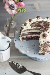 Black Forest Cake on blue cake stand in front of grey background - IPF000095